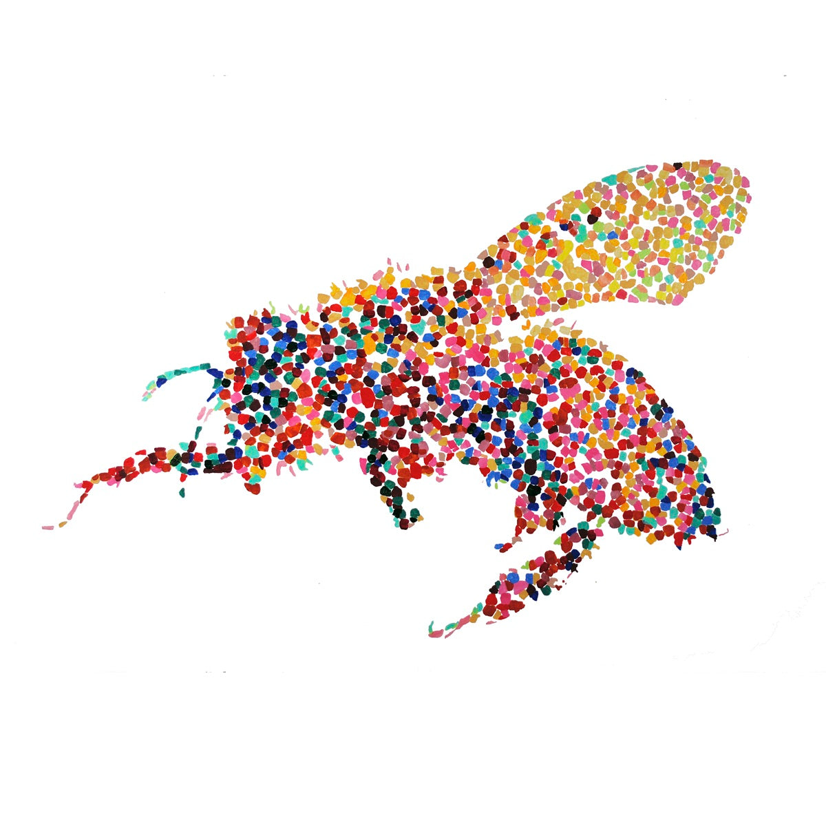 A Bee Named Dot
