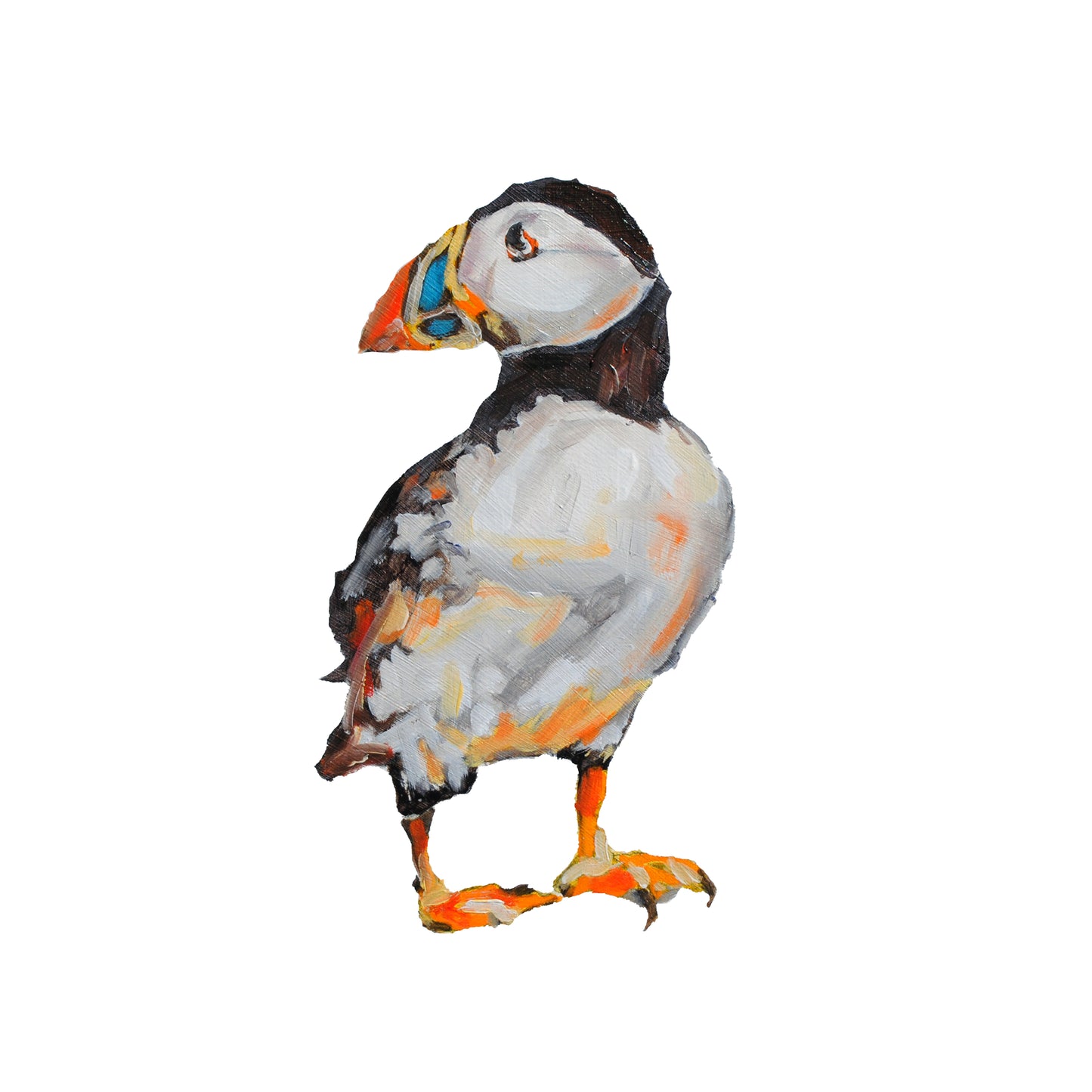 Percy the Puffin