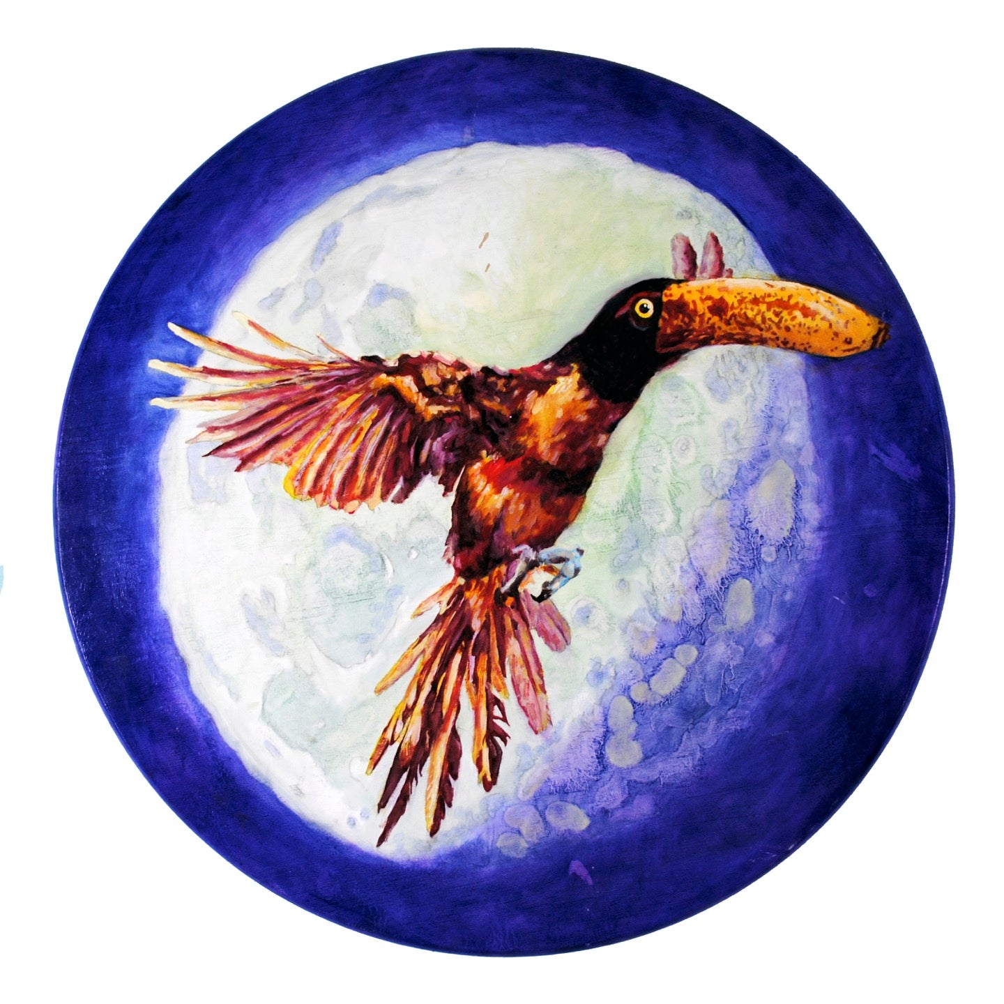 Moonbird Dilemma