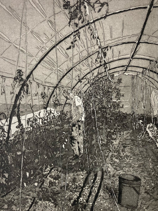 Tomato Season